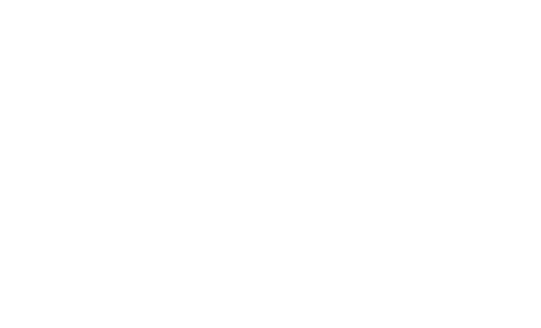 Lg Logo